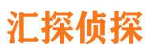 宝兴寻人公司